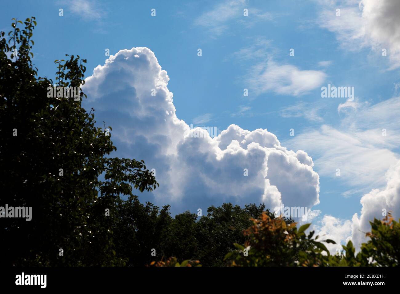 Repeat patterns in nature Stock Photo