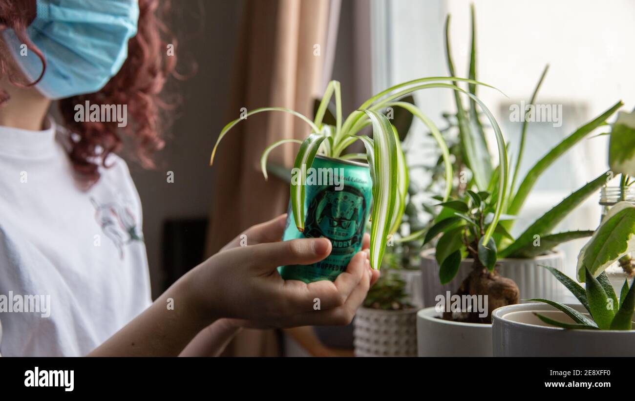 Misting house plants hi-res stock photography and images - Alamy
