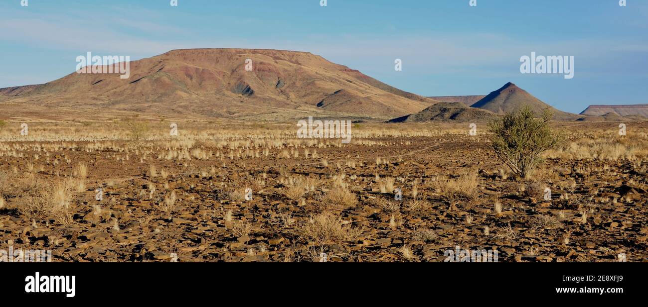 Namibias national animal hi-res stock photography and images - Alamy
