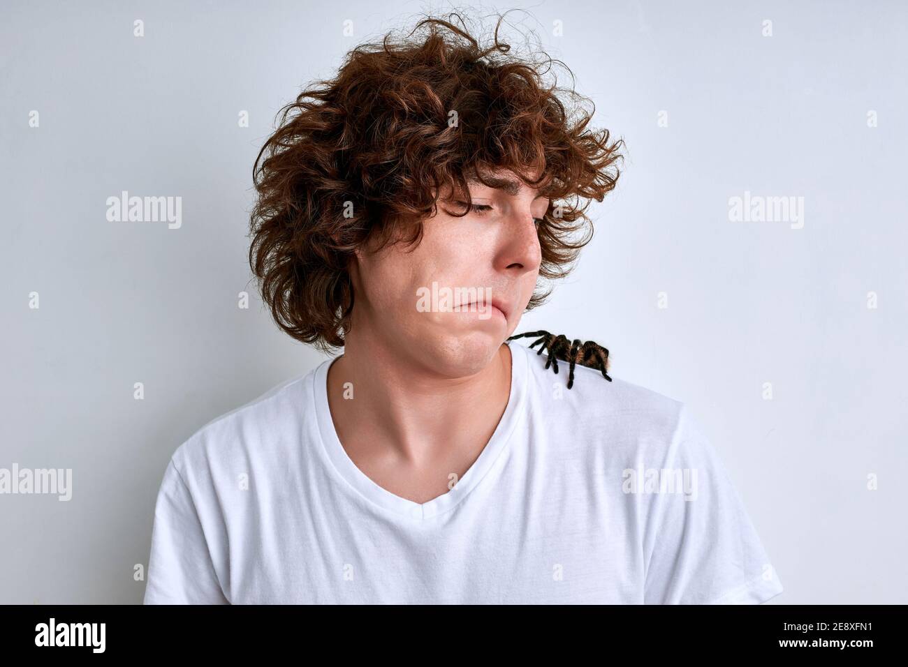 man patiently refers to a spider crawling on his shoulder, looking at it, isolated on white background Stock Photo