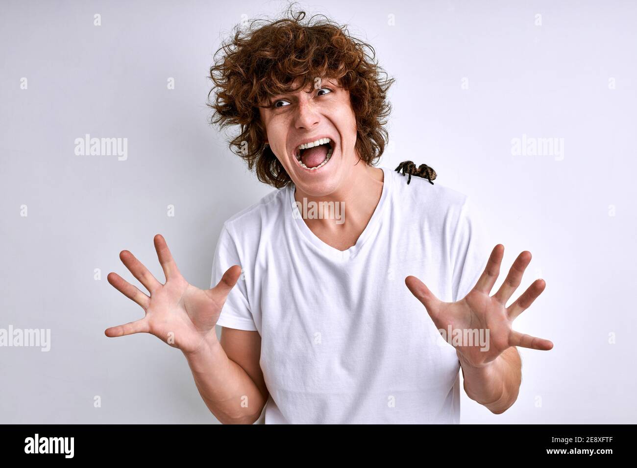 man in a white T-shirt with spider on a white background, male is screaming, frightened, Arachnophobia fear of spiders Stock Photo