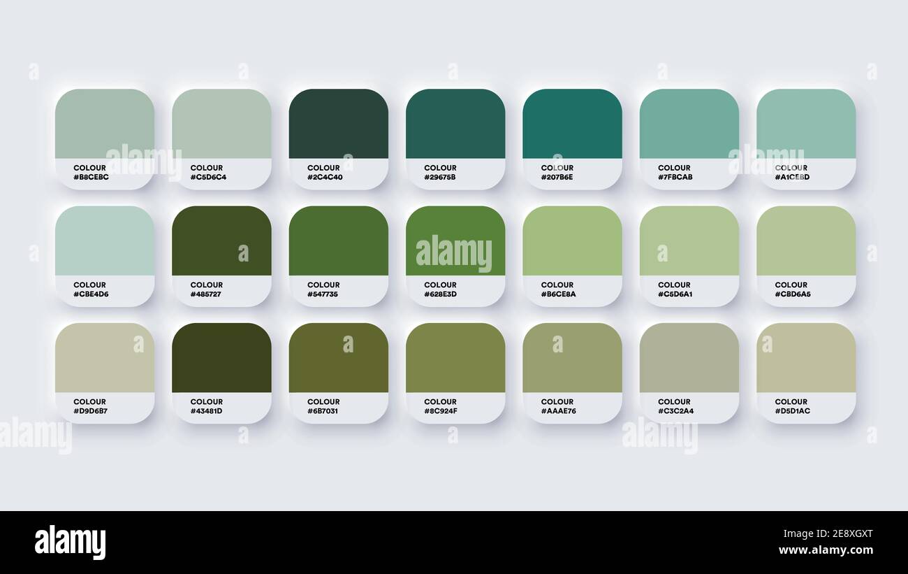 Colour Palette Catalog Samples Green in RGB HEX. Neomorphism Vector Stock Vector