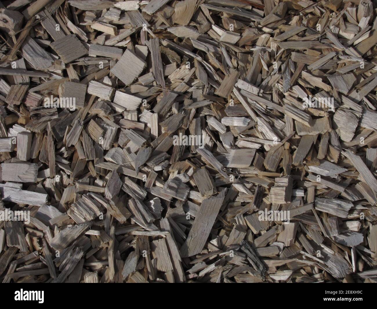 mulching a flower bed with wood chips Stock Photo Alamy