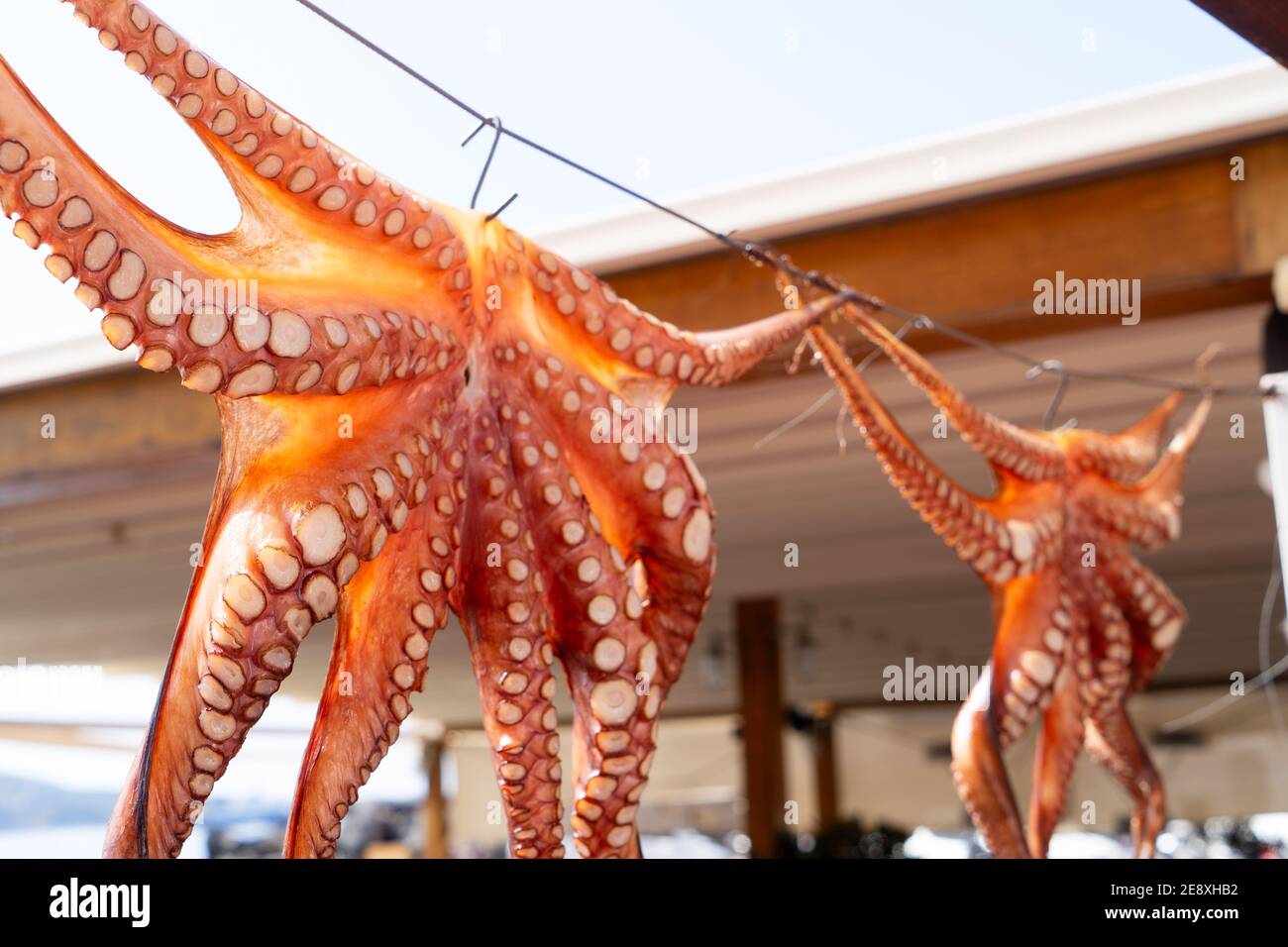 sun dried octopus Stock Photo Alamy