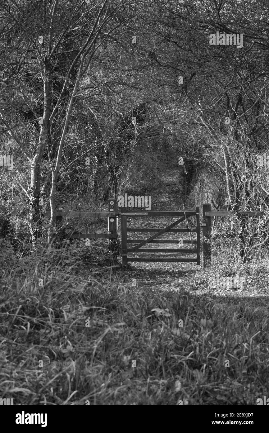 Site of the west gate of the Roman town of Calleva Atrebatum. The