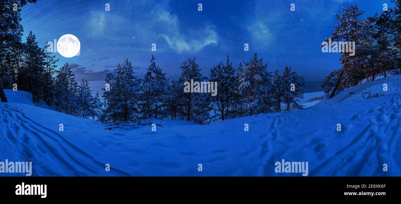 Magic winter night with full moon and frozen covered in snow fir and spruce trees in winter. Starry night. Snowy forest at night in moonlight. Stock Photo
