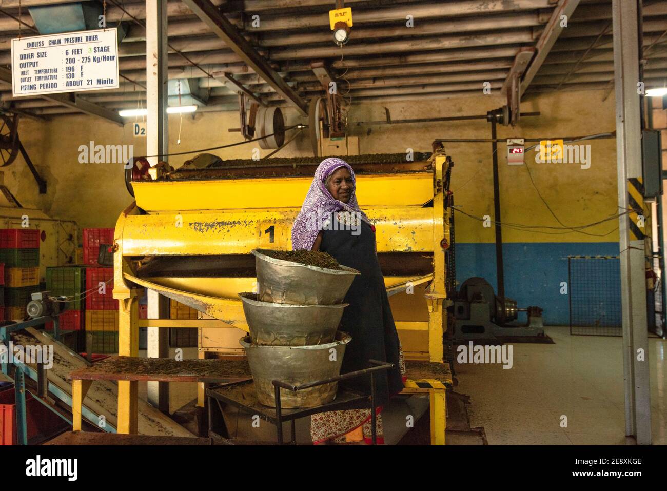 Interior of the Damro Tea factory in Sri Lanka Stock Photo Alamy