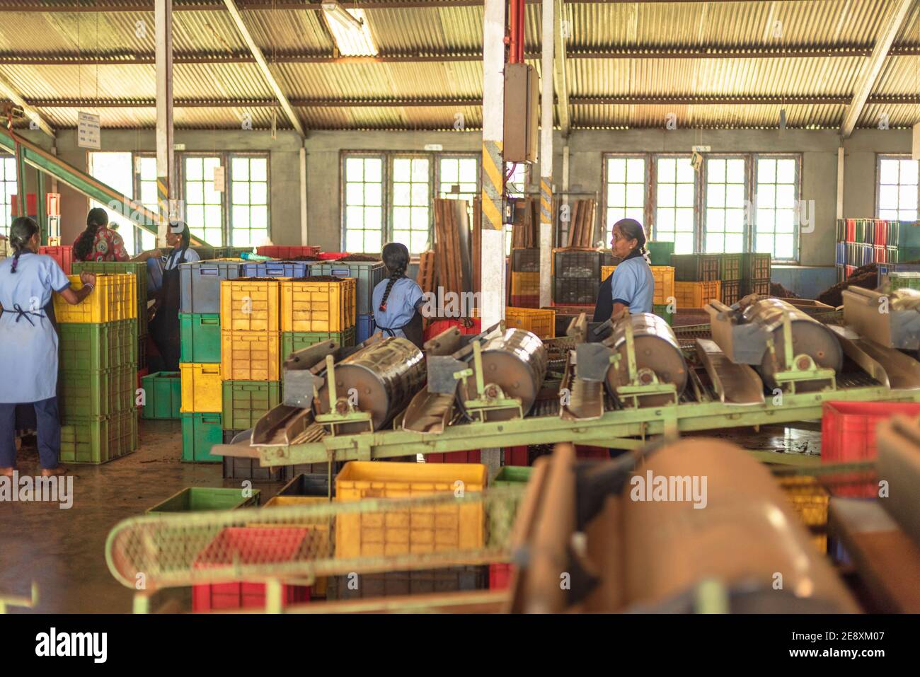Interior of the Damro Tea factory in Sri Lanka Stock Photo Alamy