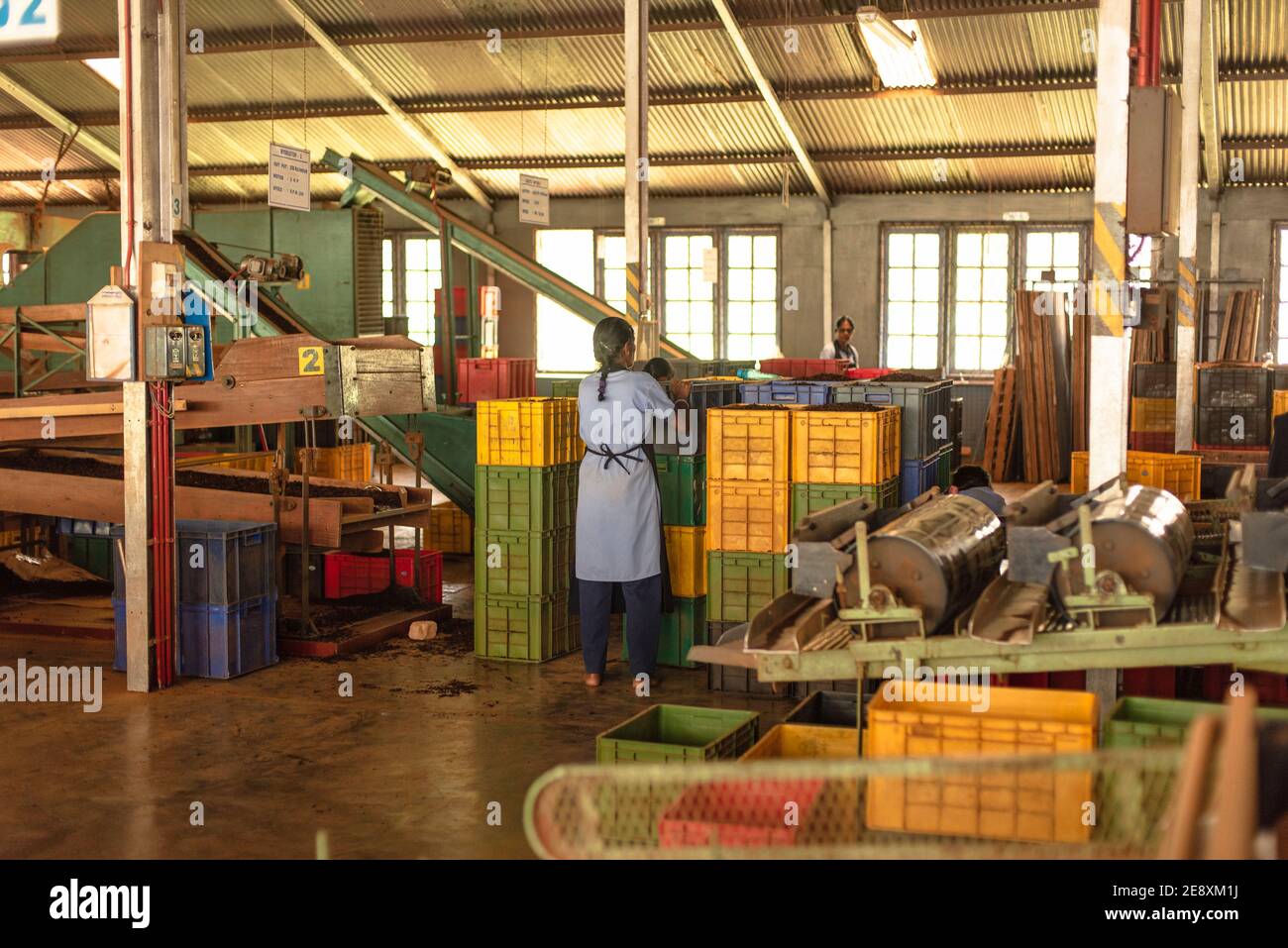 Interior of the Damro Tea factory in Sri Lanka Stock Photo Alamy