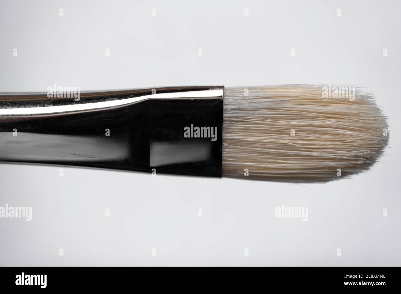 Cat tongue brush made of white Chinese Chungking pig bristles in a