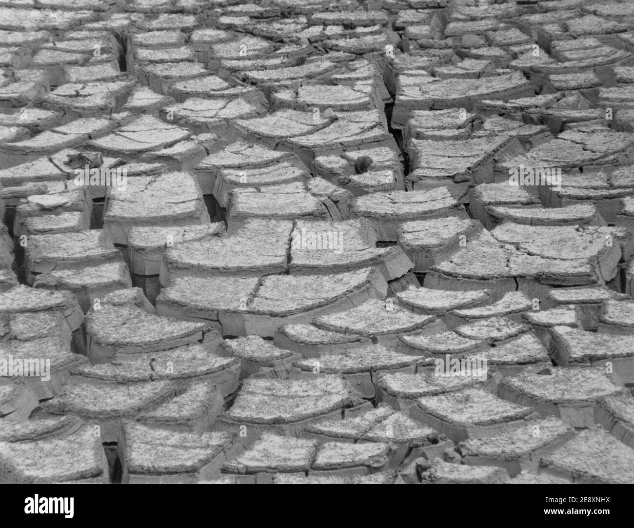 Cracked earth during a drought in South Florida. Stock Photo