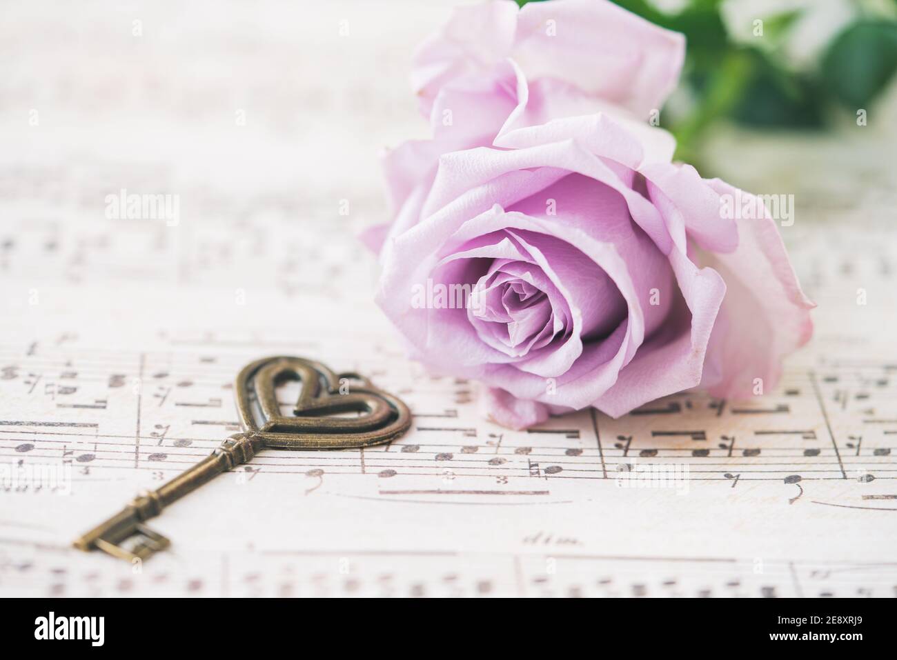 Key shape flowers hi-res stock photography and images - Alamy