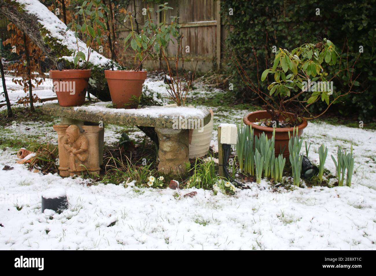 Apple tree bench garden hires stock photography and images Alamy