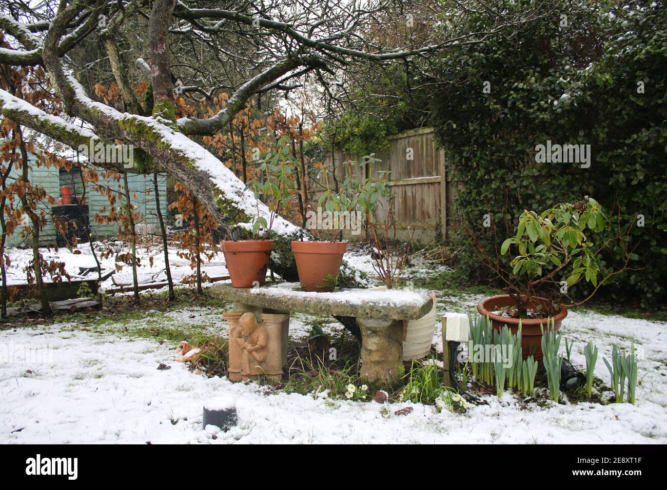 Apple tree bench garden hires stock photography and images Alamy