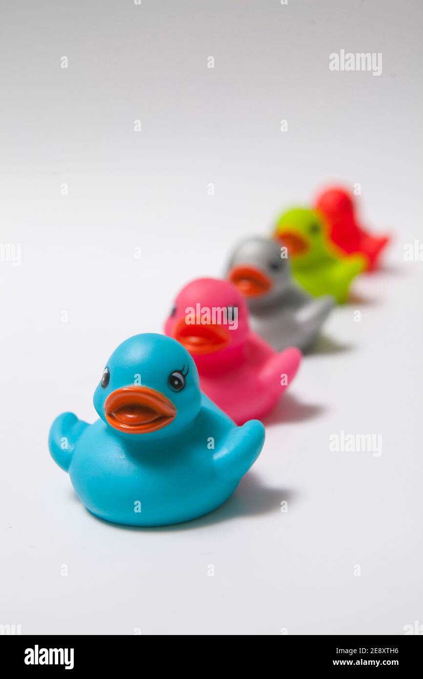Colorful rubber ducks in a row on white background Stock Photo - Alamy