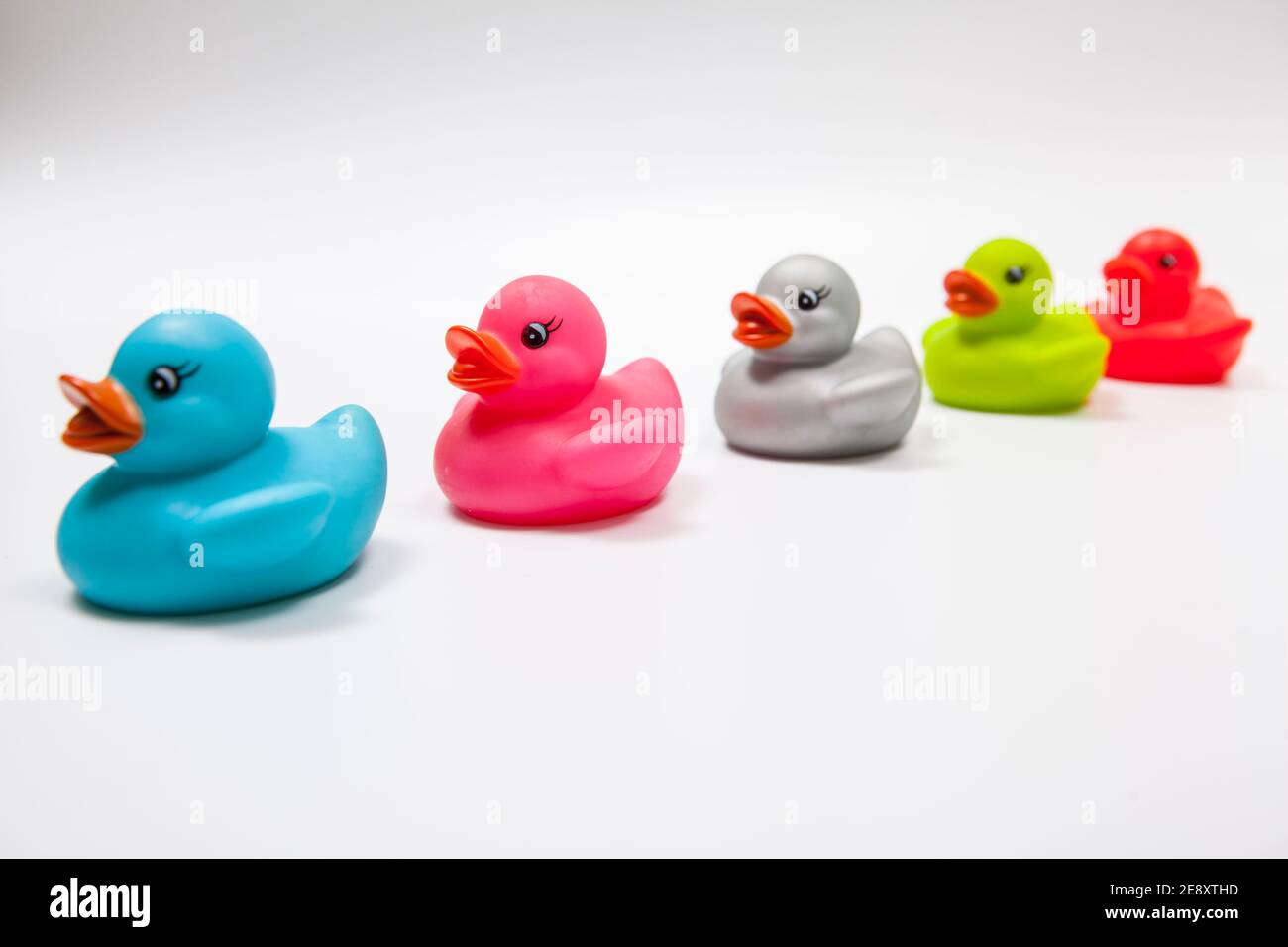 Colorful rubber ducks in a row on white background Stock Photo - Alamy