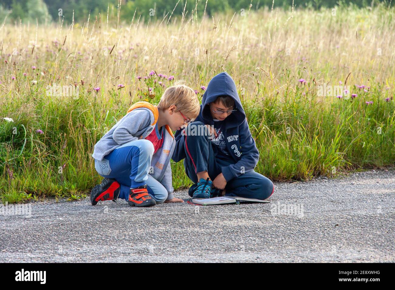two brothers are reading a book at the edge of an uncultivated meadow Stock Photo