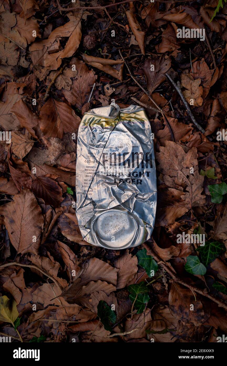 flattened beer can of Enigma Dreaught Lager on a pile of dead leaves. Stock Photo