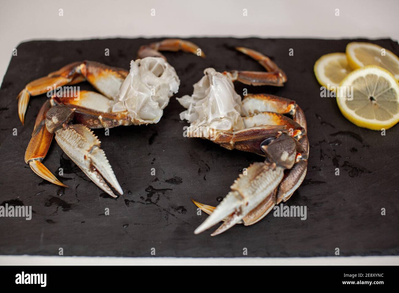 Before You Cook: What Does A Scallop Look Like Uncooked? - q91h1o8