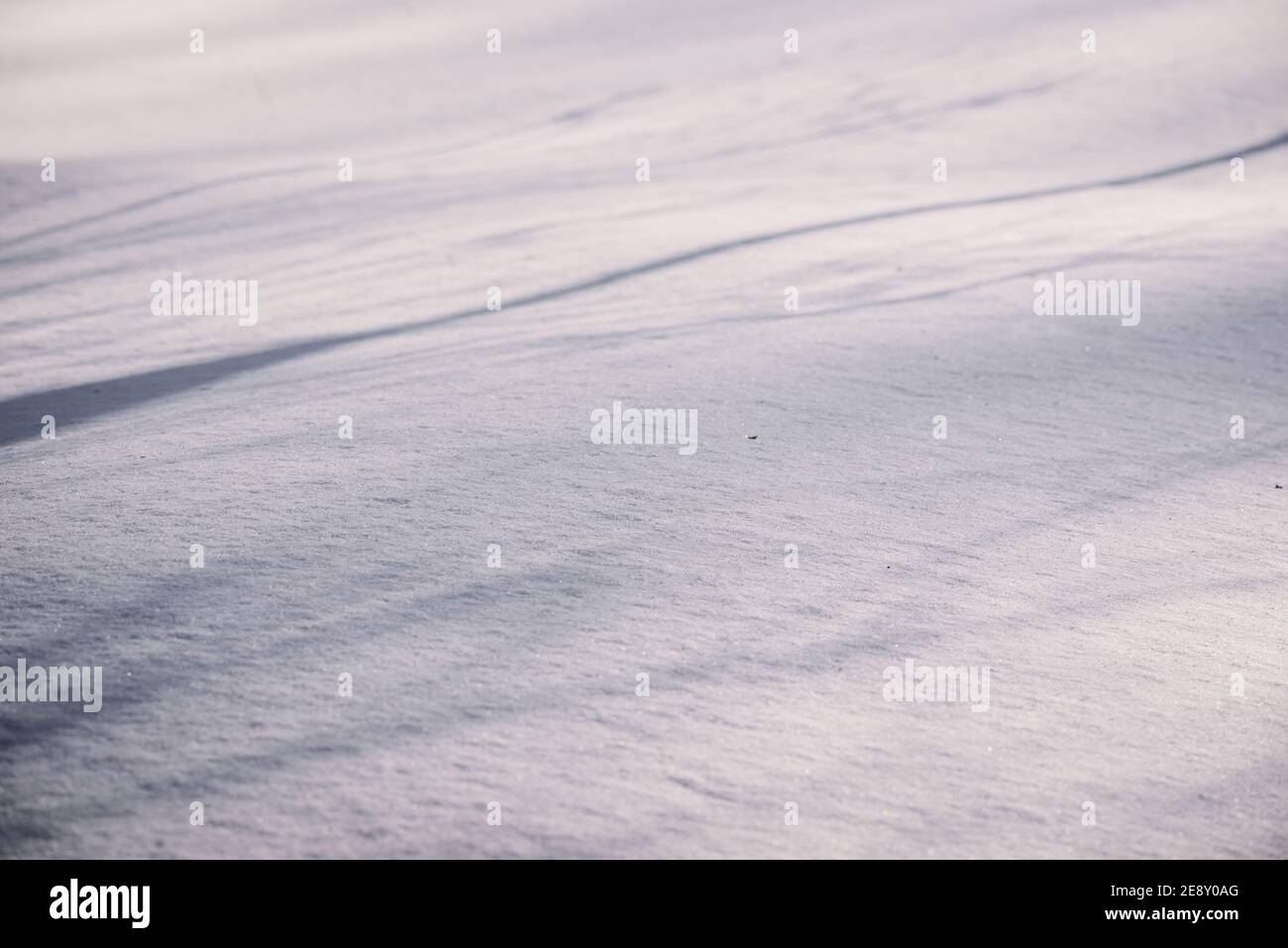 Selective focus photo. Snow covered ground. Stock Photo