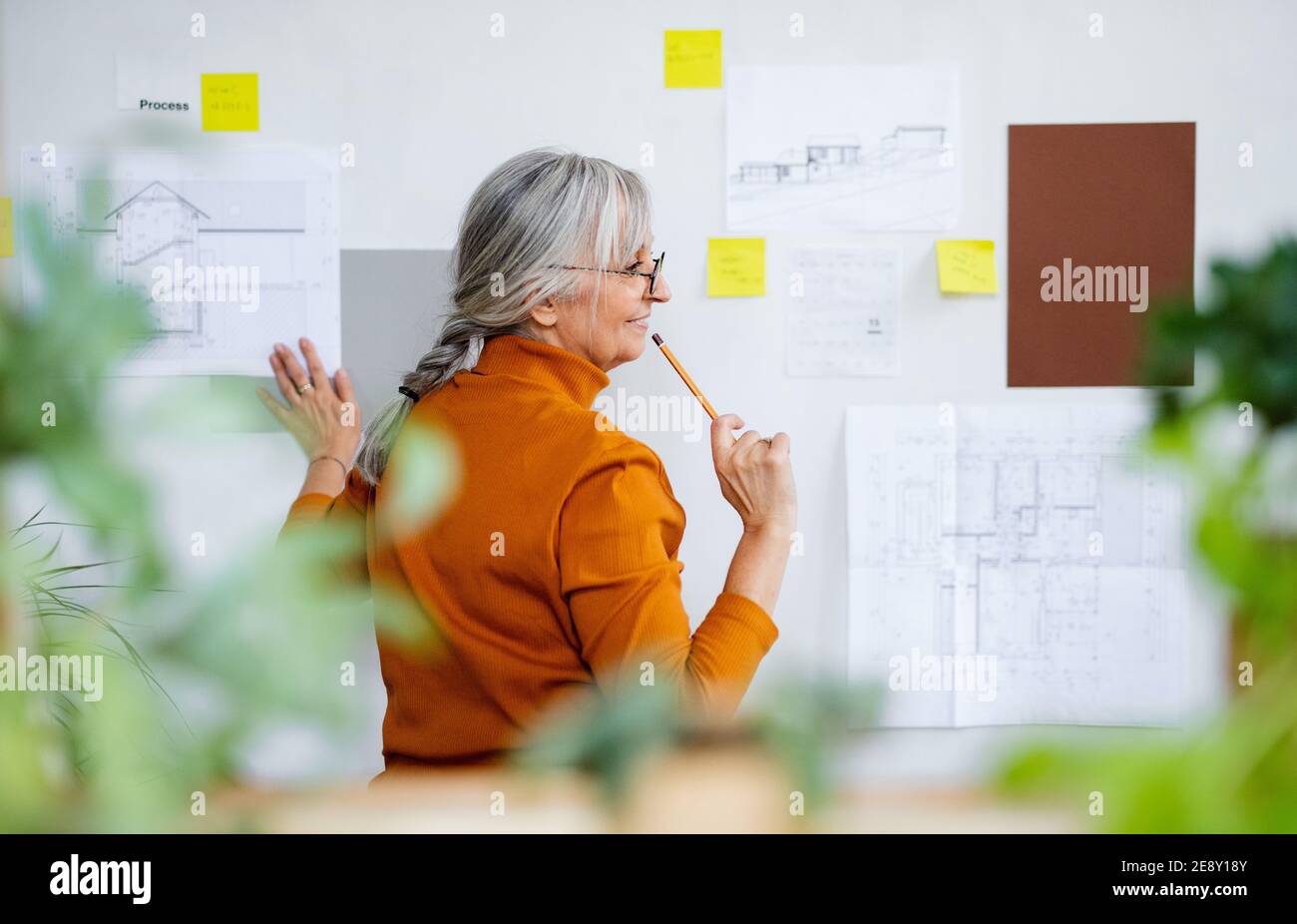 Woman gray hair rear view hi-res stock photography and images - Alamy
