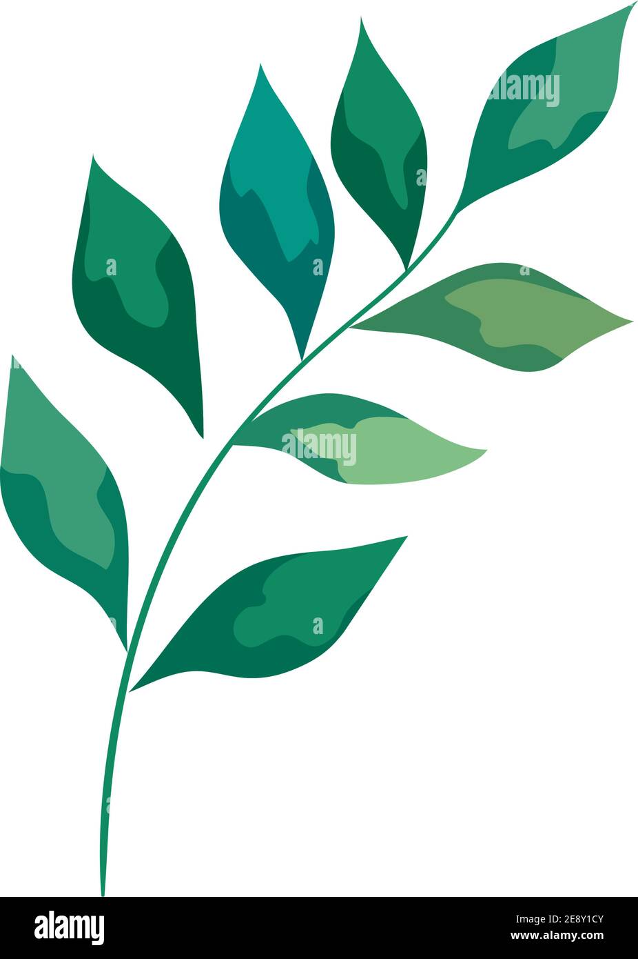 branch with leafs plant foliage icon Stock Vector Image & Art - Alamy
