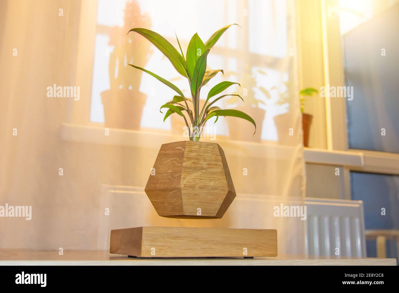 Hovering flying rotating in air potted plant pot on table in of window decorative gadget for home decoration Stock Photo - Alamy