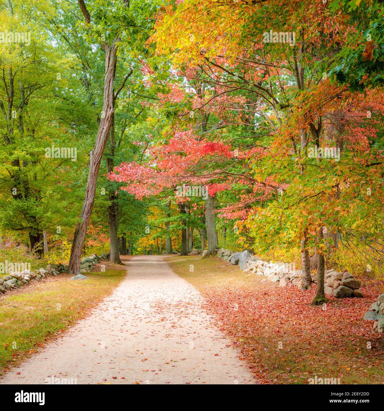 Historic Battle Road Trail in Minute Man National Historical Park
