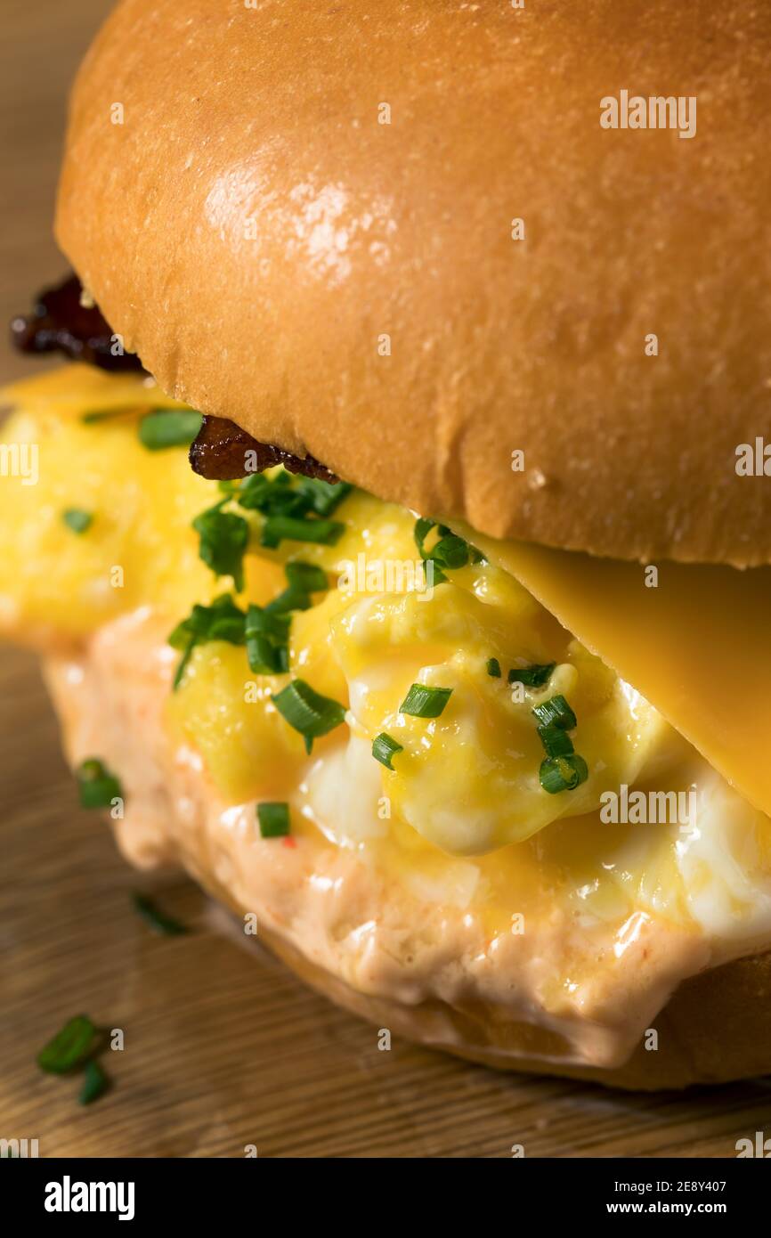 Homemade Bacon Egg Sandwich on a Brioche Bun with Cheese Stock Photo ...