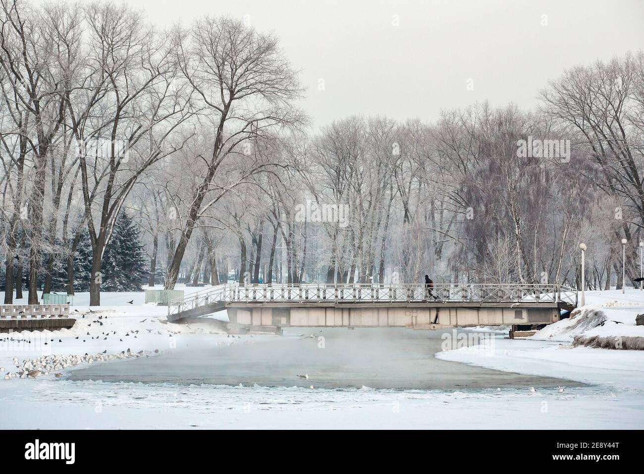 Winter scene from Minsk, Belarus Stock Photo - Alamy