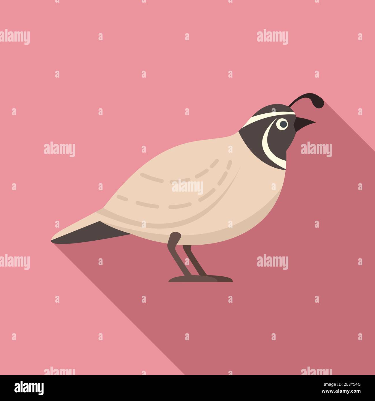 Baby partridge Stock Vector Images - Alamy