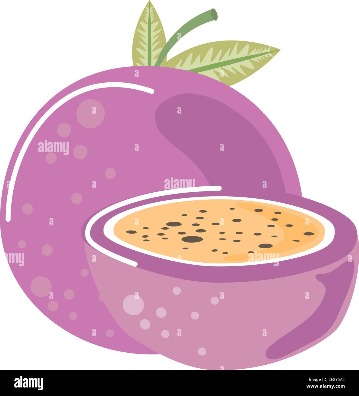 passion fruit fresh nature icon isolated style vector illustration ...