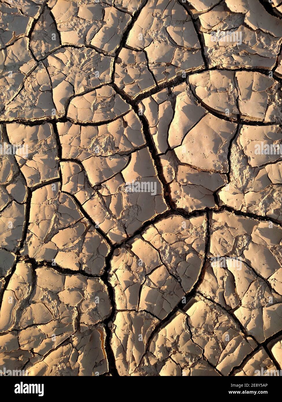 Image of cracked clay. Texture for background. Natural background for your design. Stock Photo