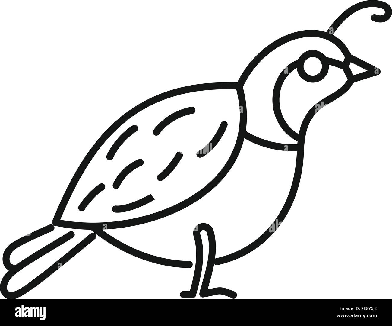 Quail farm icon, outline style Stock Vector Image & Art - Alamy