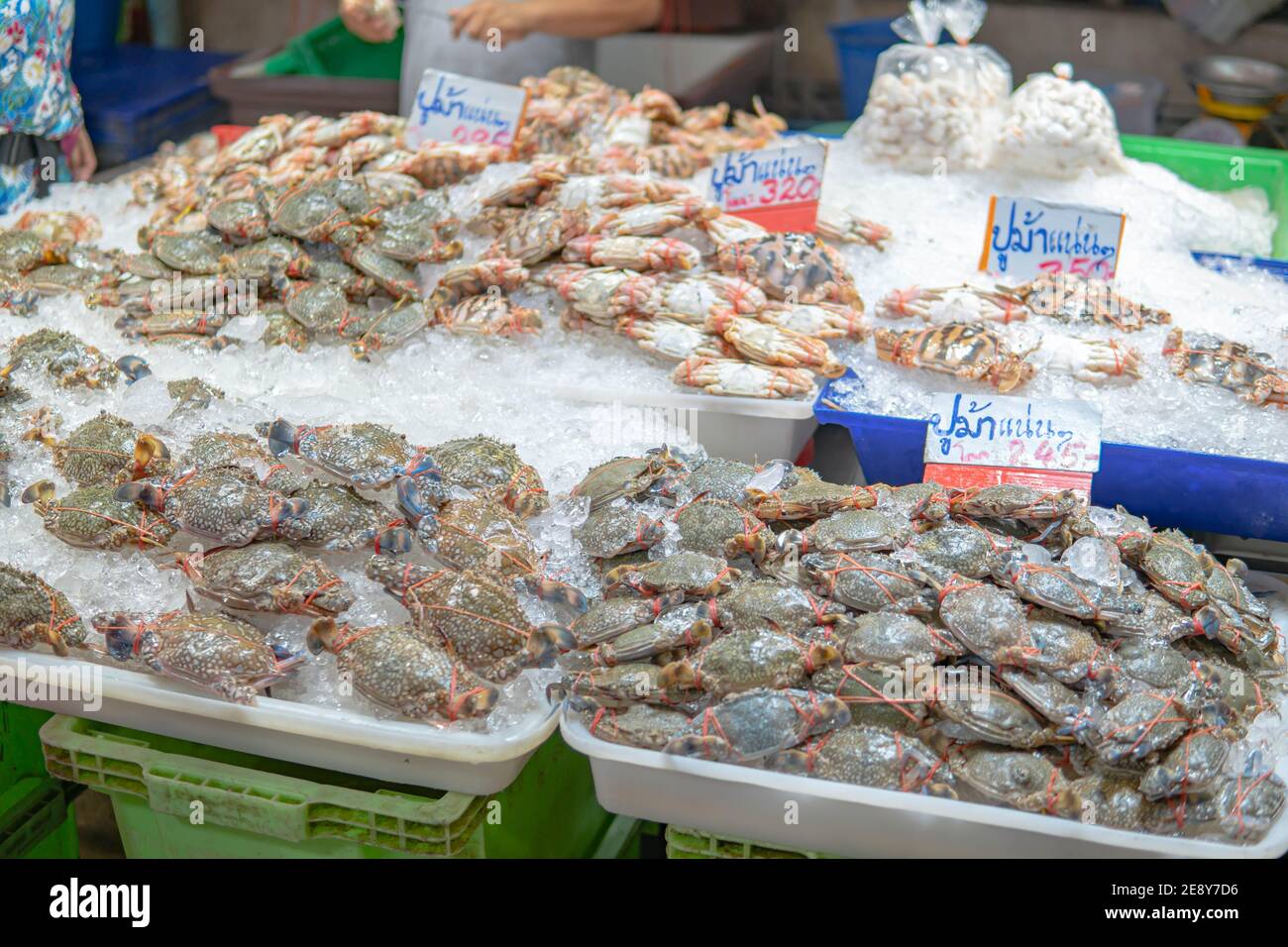 Crabs seafood heap in ice, Food Fresh in Thailand. Stock Photo