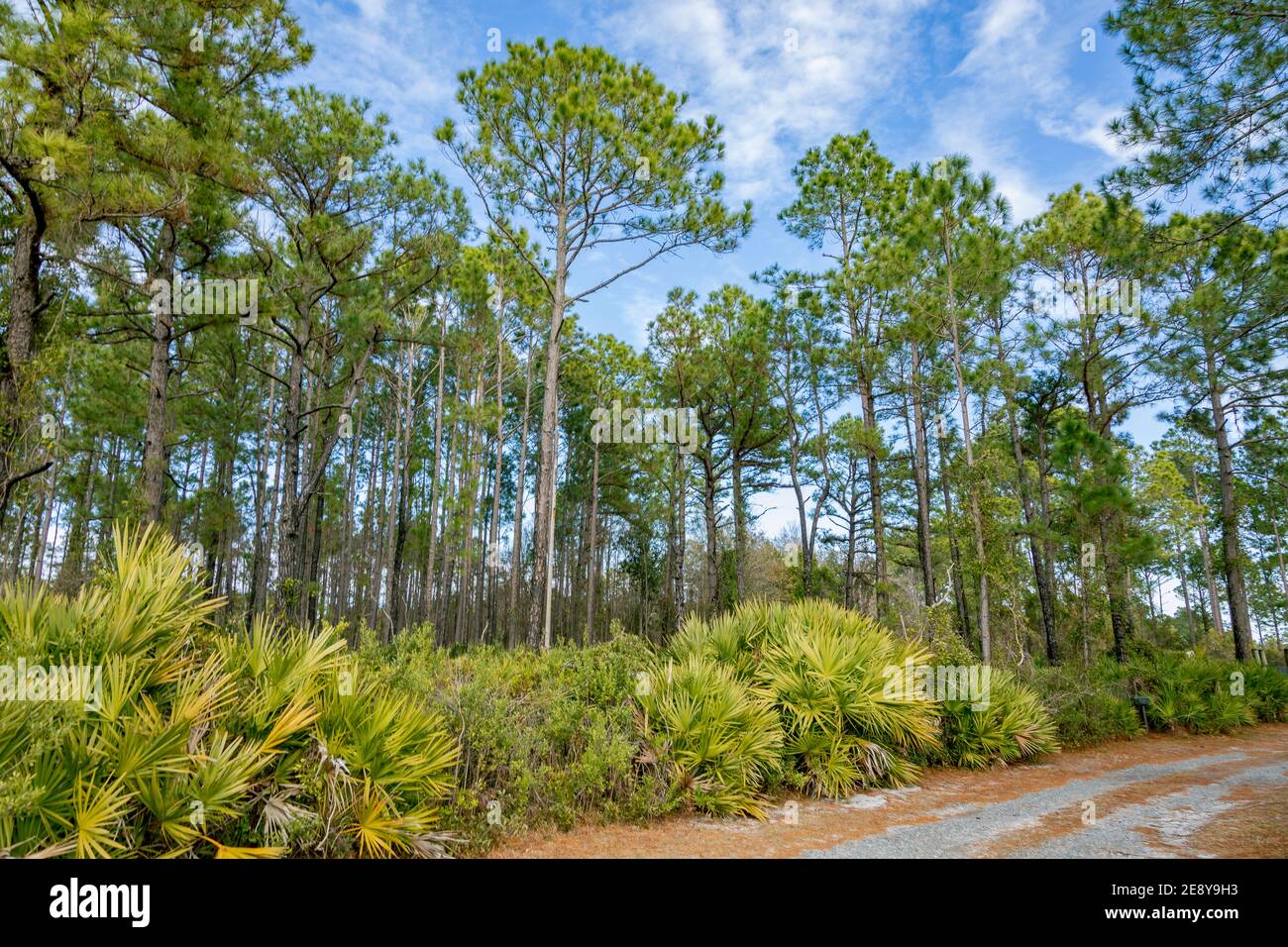 Hill fauna hi res stock photography and images Alamy