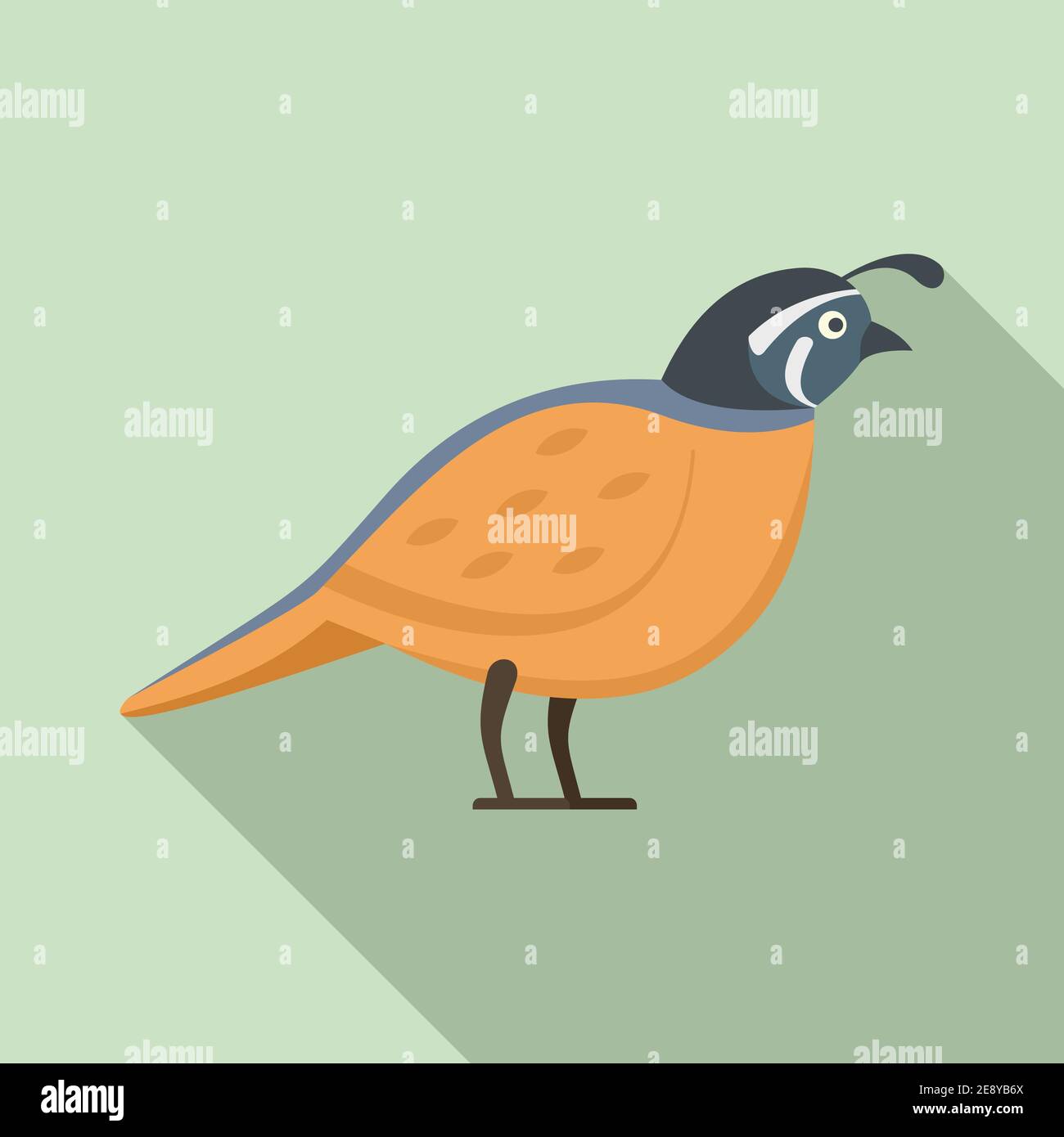 Quail farm icon, flat style Stock Vector Image & Art - Alamy