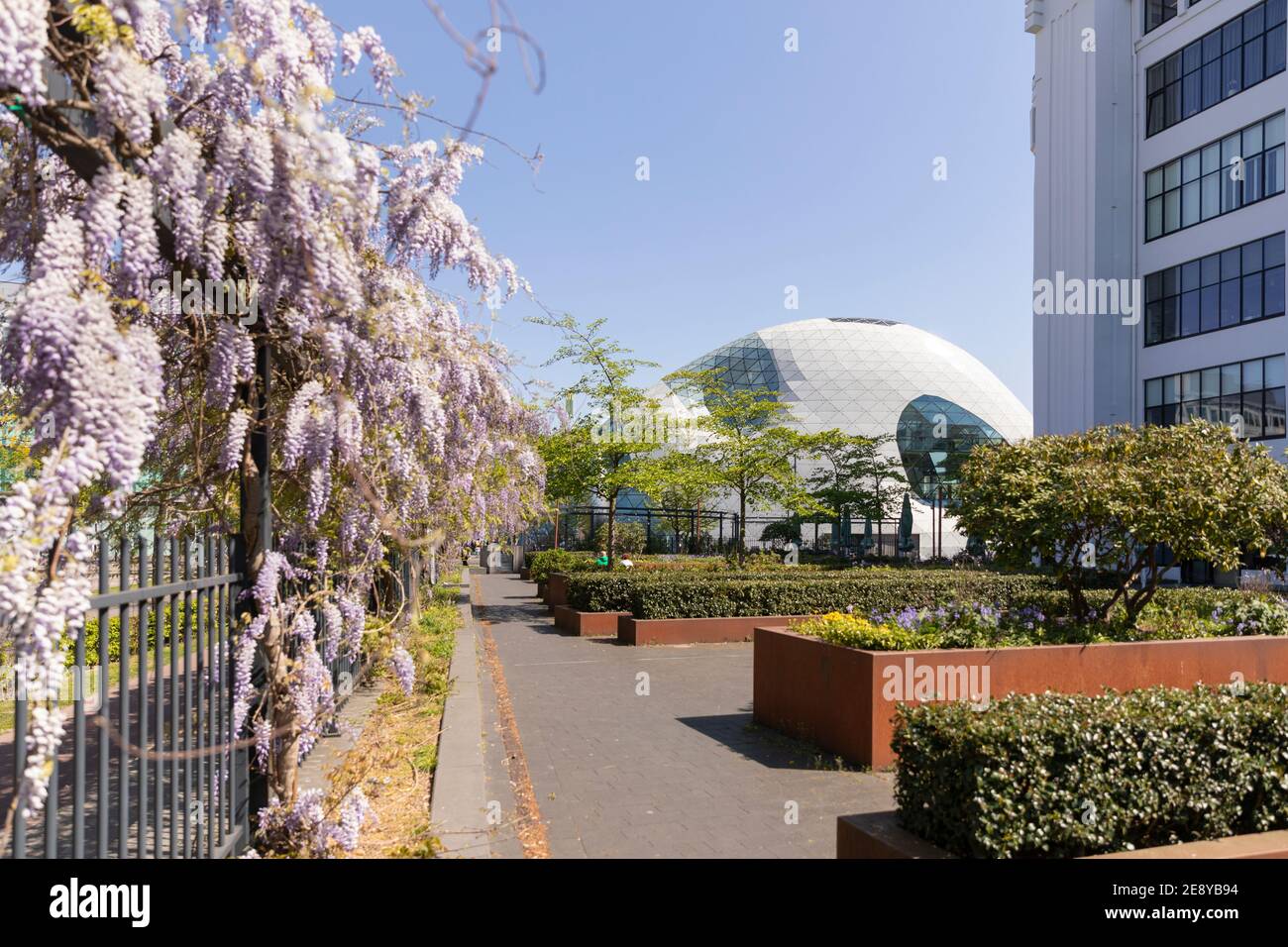 Eindhoven, The Netherlands, April 21st 2020. Exterior of the famous ’Blob’ building designed by Massimiliano Fuksas surrounded by a greenery and bloss Stock Photo