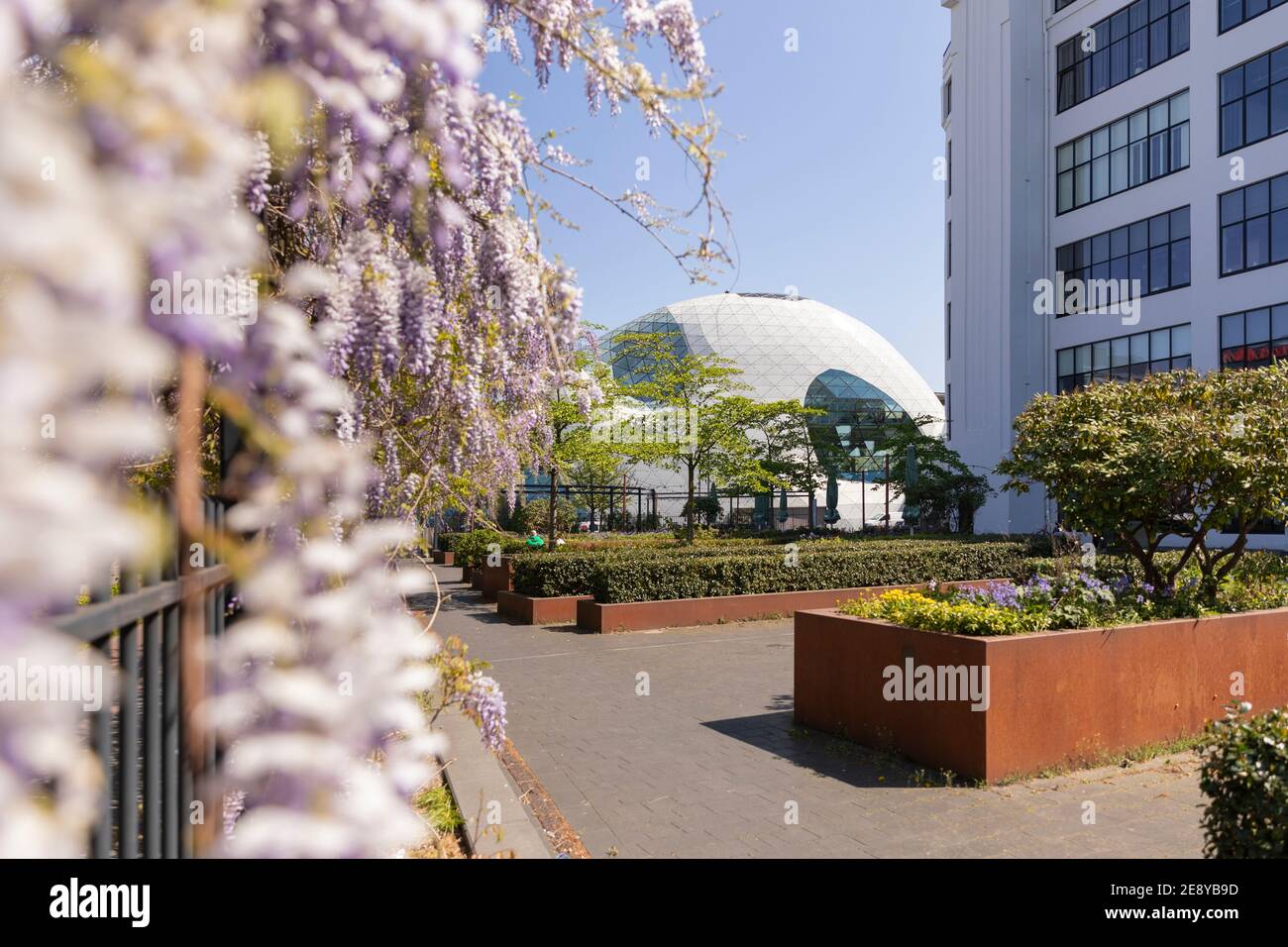 Eindhoven, The Netherlands, April 21st 2020. The famous ’Blob’ building designed by Massimiliano Fuksas surrounded by a greenery and blossoms at a ter Stock Photo