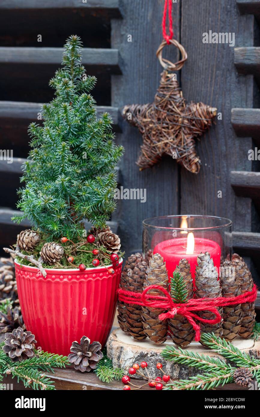 christmas decoration with picea glauca, fir cones and red candle Stock Photo