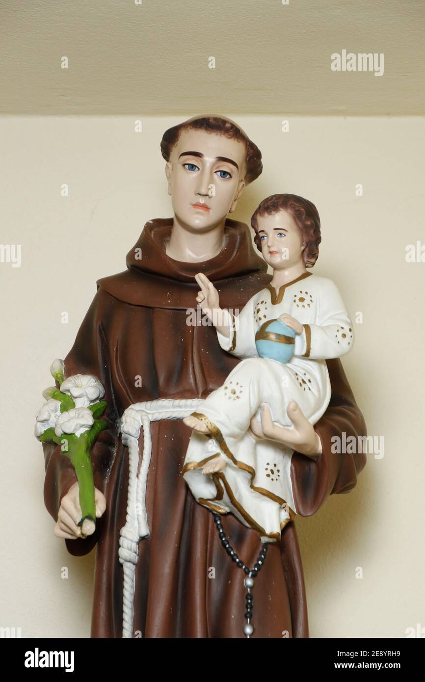 8327 Saint Anthony Images Stock Photos  Vectors  Shutterstock