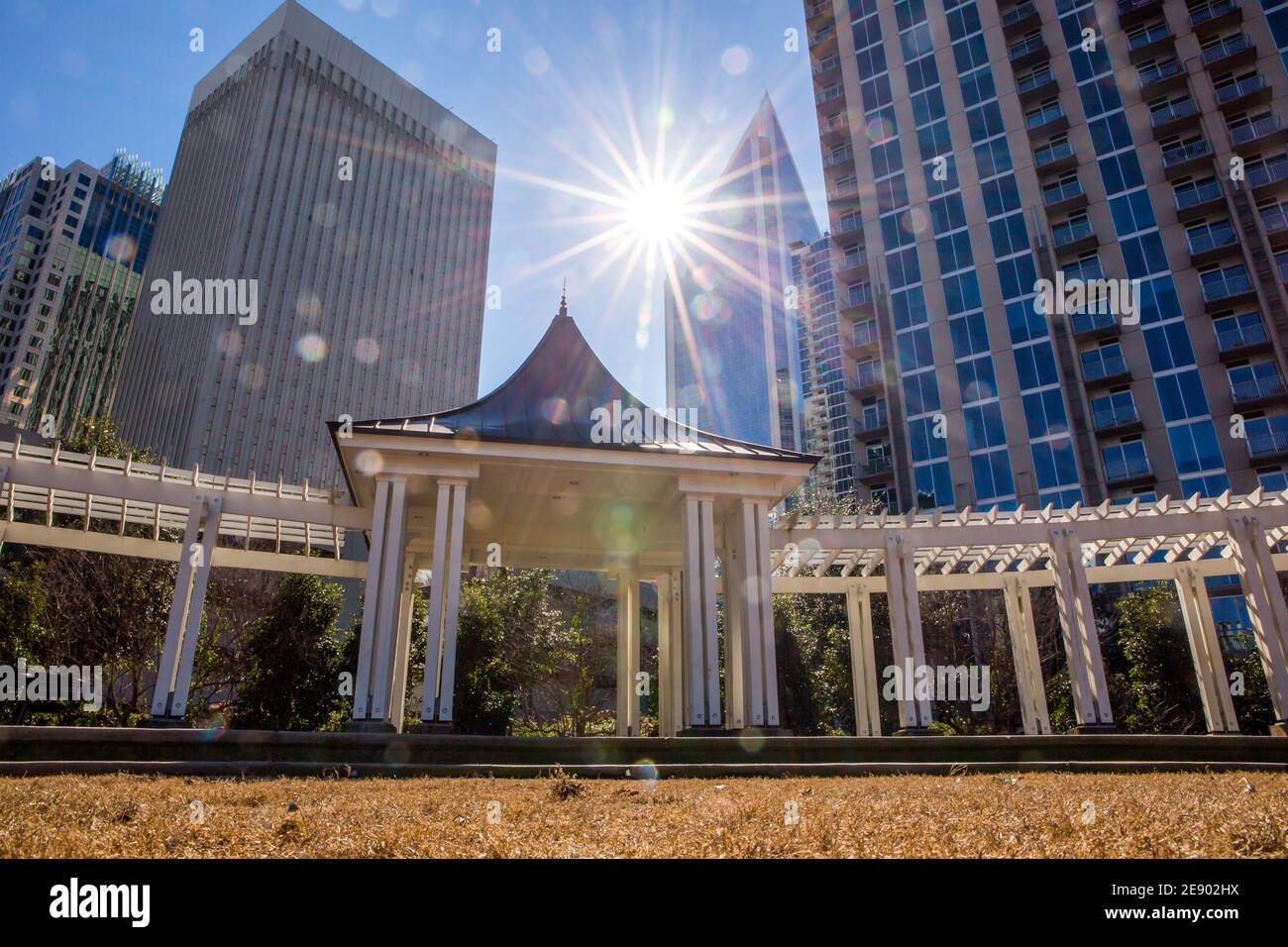A view of the Charlotte, North Carolina, skyline in a bright blue sky as seen from Romare Bearden Park. Stock Photo