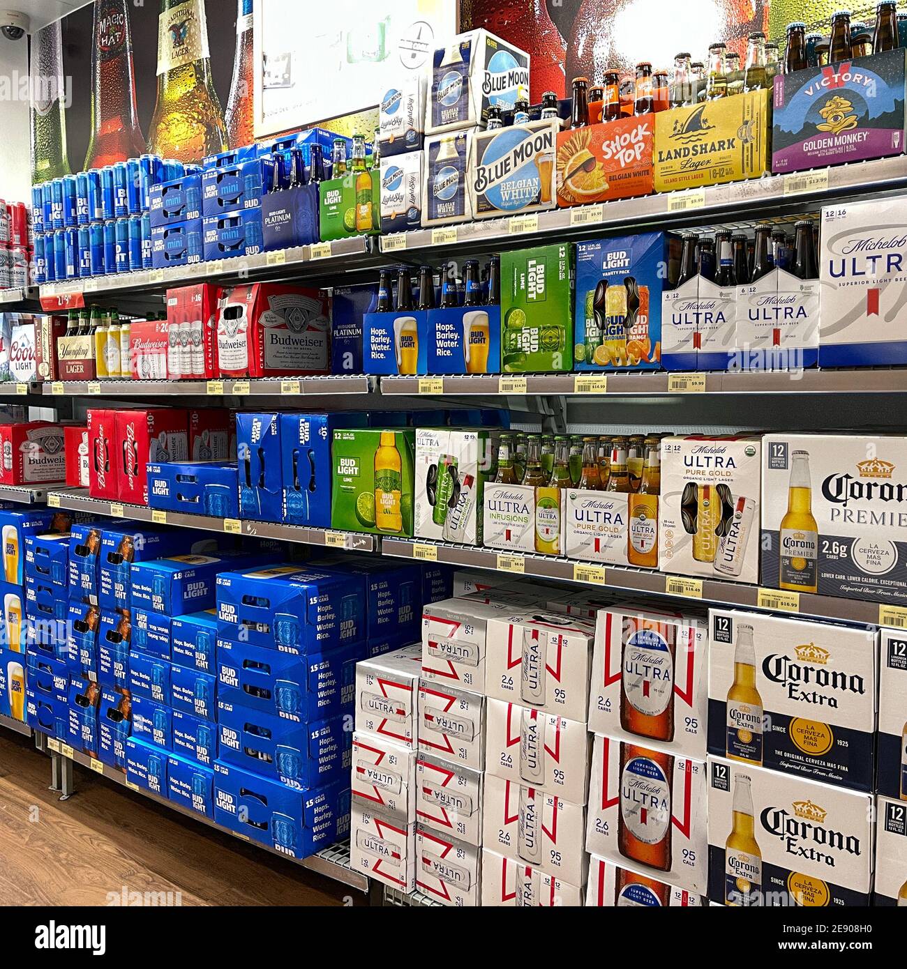 Orlando,FL USA - January 26, 2021:  Cases of beer in a grocery store. Stock Photo
