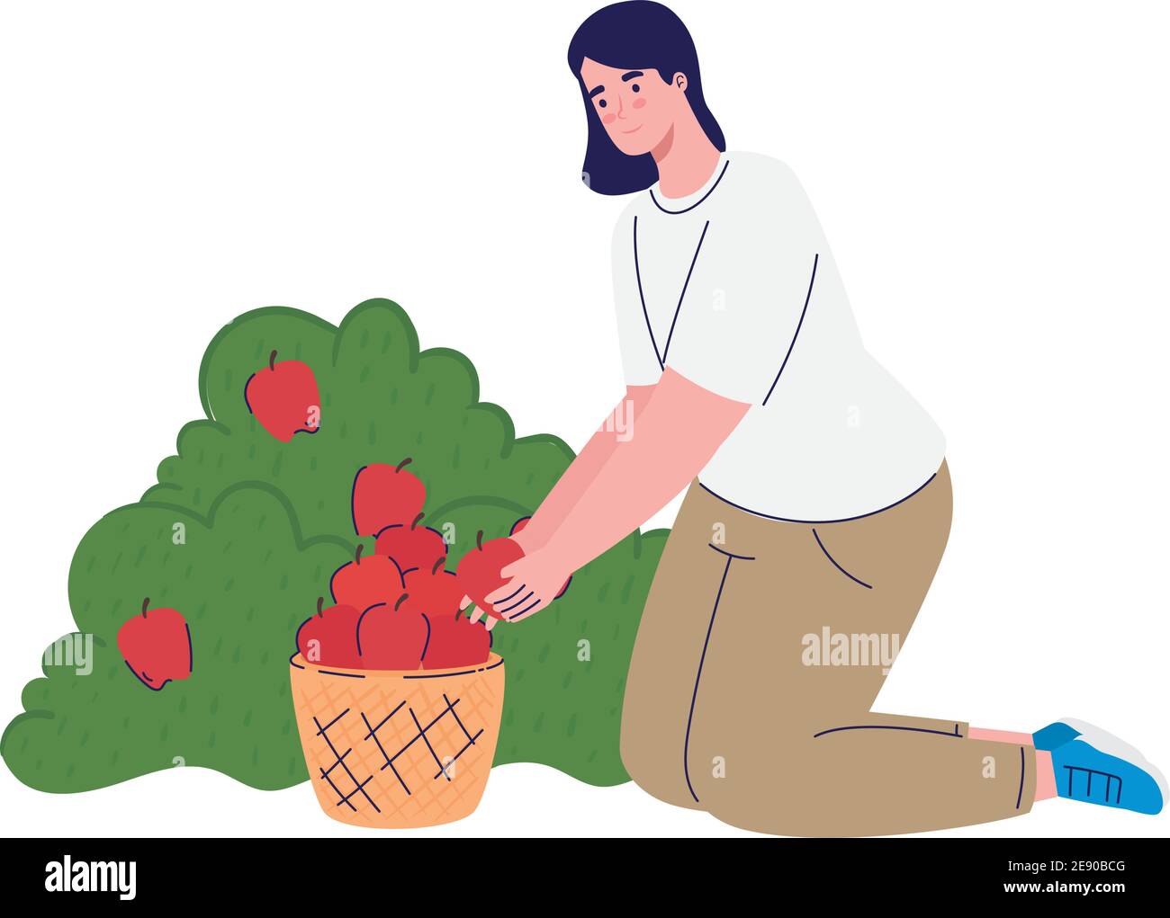 farmer female cultivating tomatoes avatar character Stock Vector Image ...