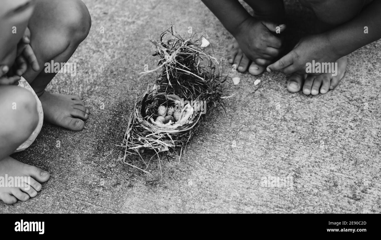 Two Children Looking at a Bird Nest With Eggs on the ground in Black and White Stock Photo
