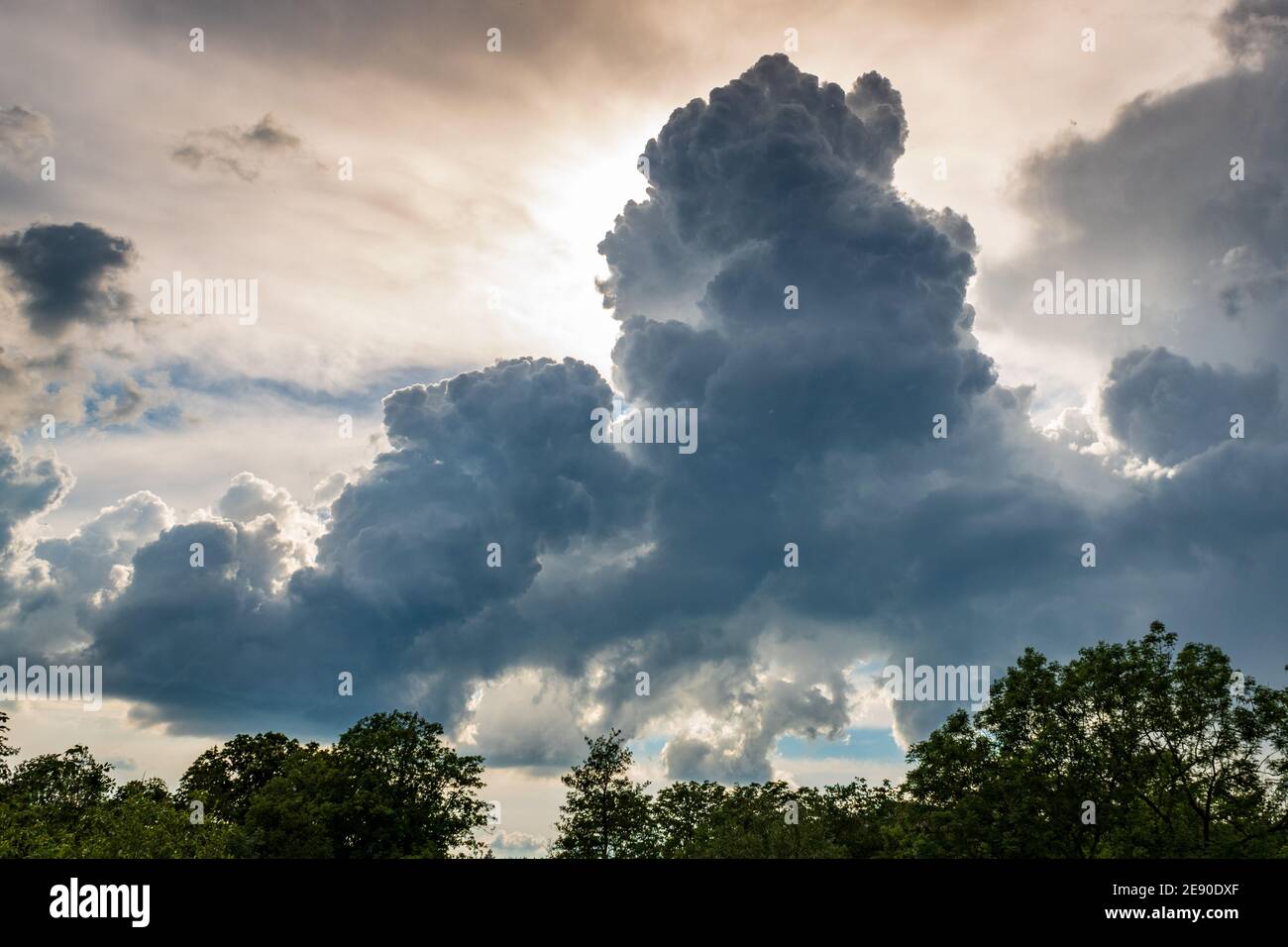 Cloudscape with sun behind fluffy clouds and treetop in summer. Stock Photo