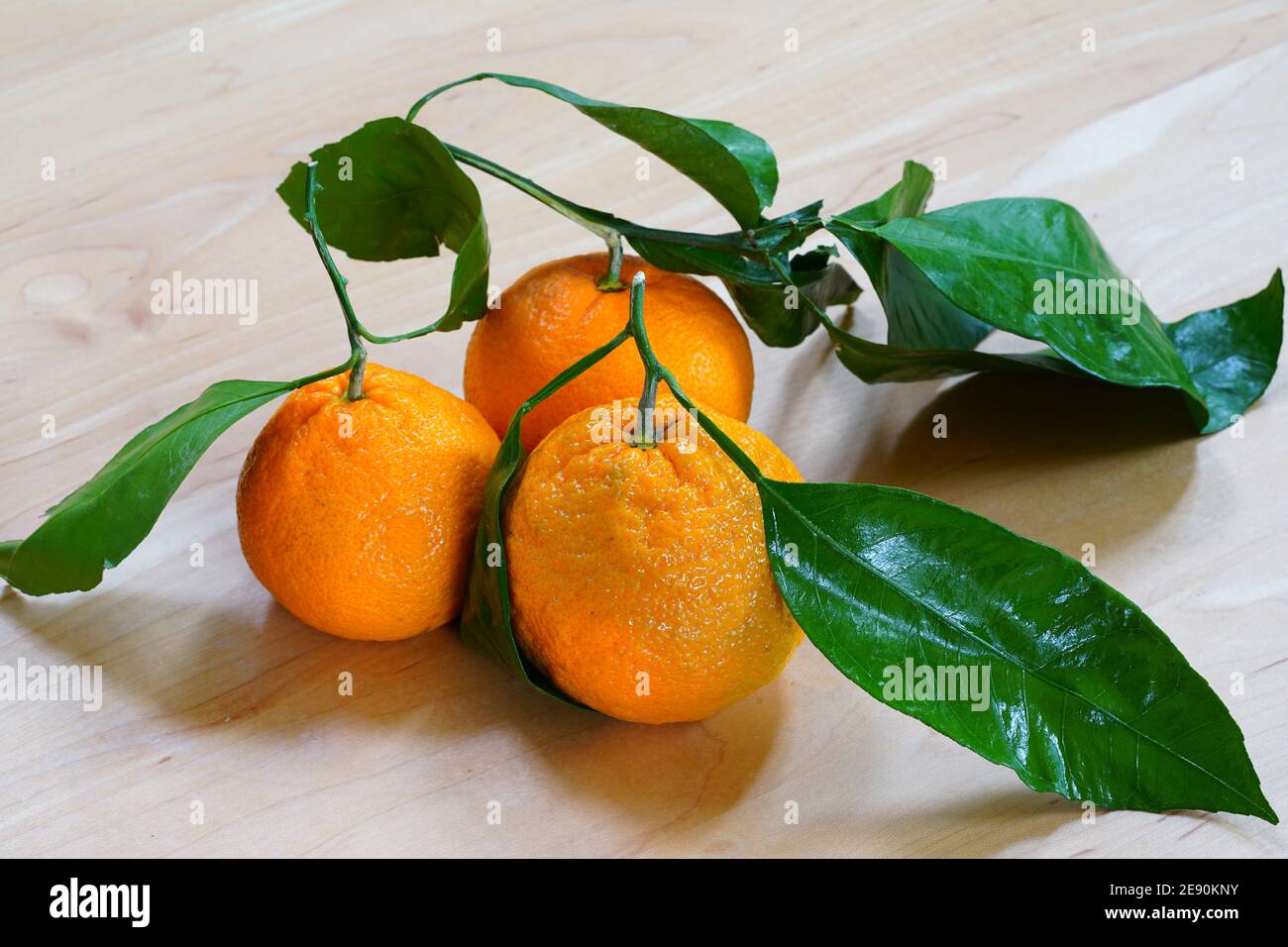 Satsuma orange mandarin fruit with leaves Stock Photo Alamy