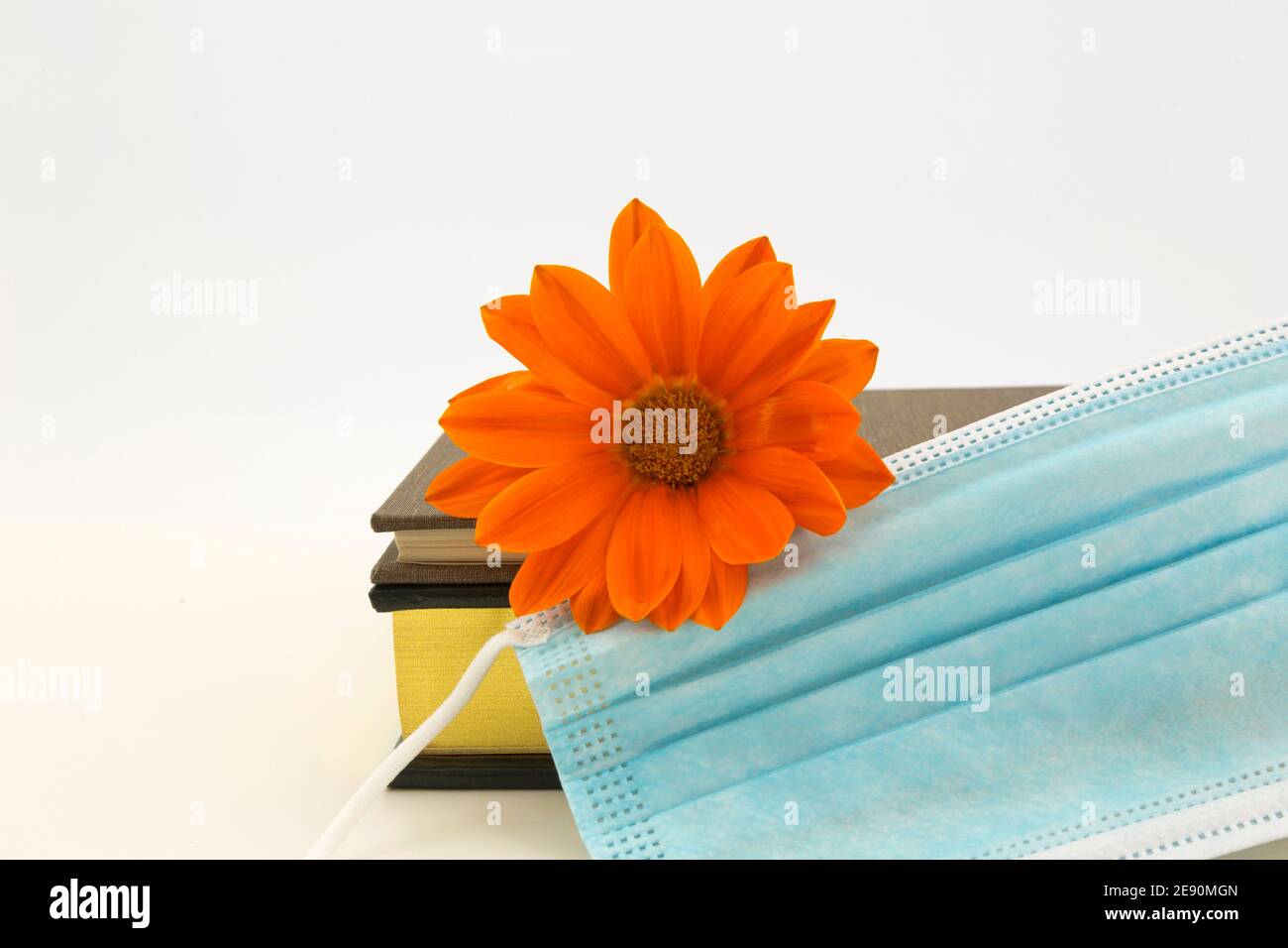 Data based prioriies in pandemic highlighted by blossom placed with protective face mask and reliable scientific information books Stock Photo