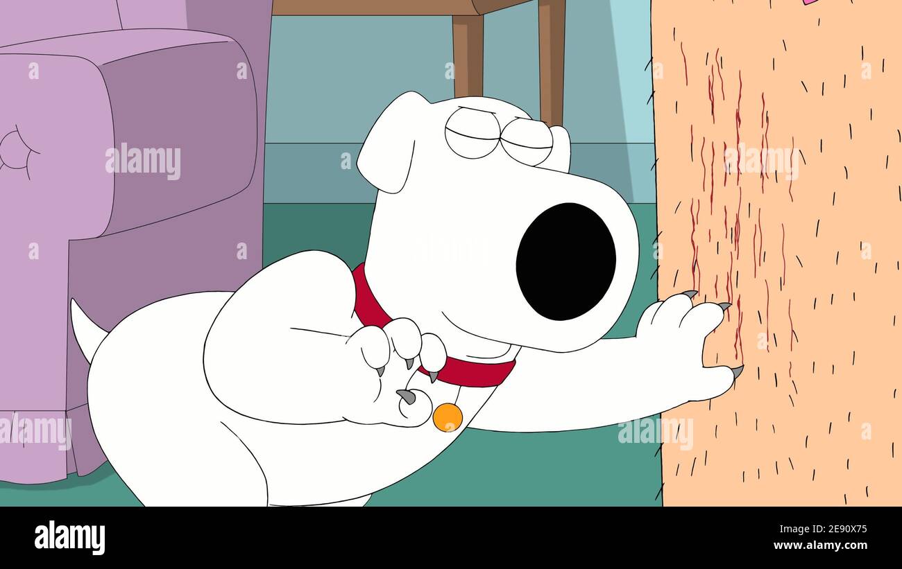 family guy brian