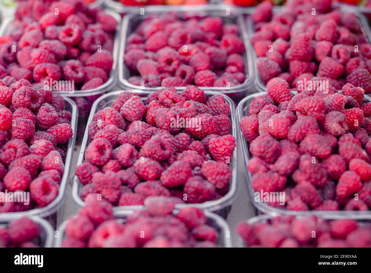 Raspberries in plastic transparent container box for sale farmer's market Fresh berries. Selective focus Stock Photo